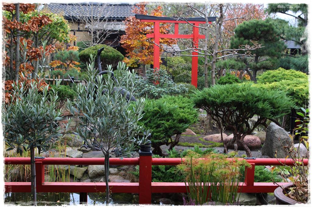 Ogród po japońsku 22 Ogród po japońsku 22