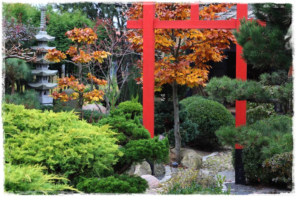 Ogród po japońsku 300 Ogród po japońsku 300