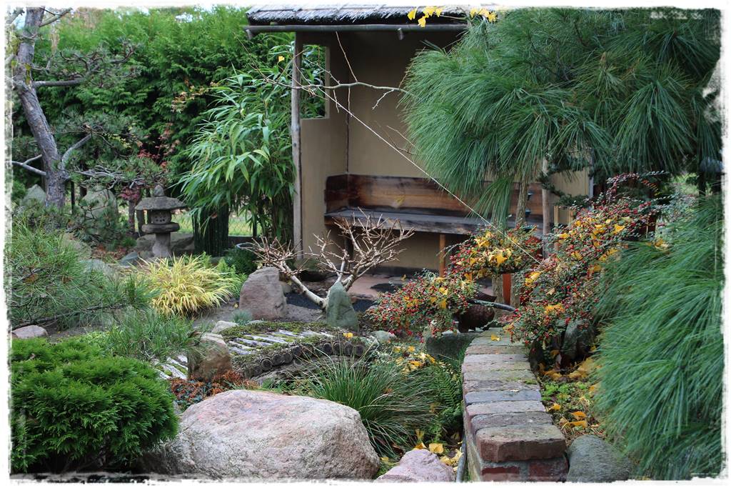 Ogród po japońsku 301 Ogród po japońsku 301