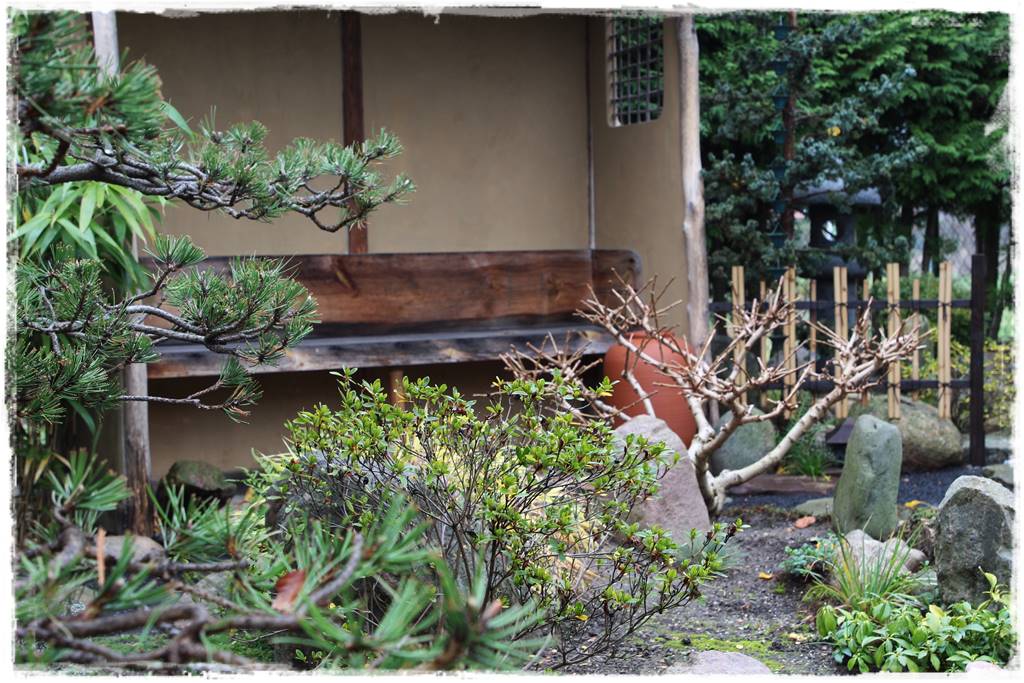Ogród po japońsku 302 Ogród po japońsku 302