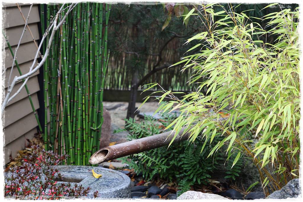 Ogród po japońsku 303 Ogród po japońsku 303
