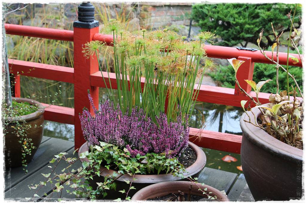 Ogród po japońsku 304 Ogród po japońsku 304