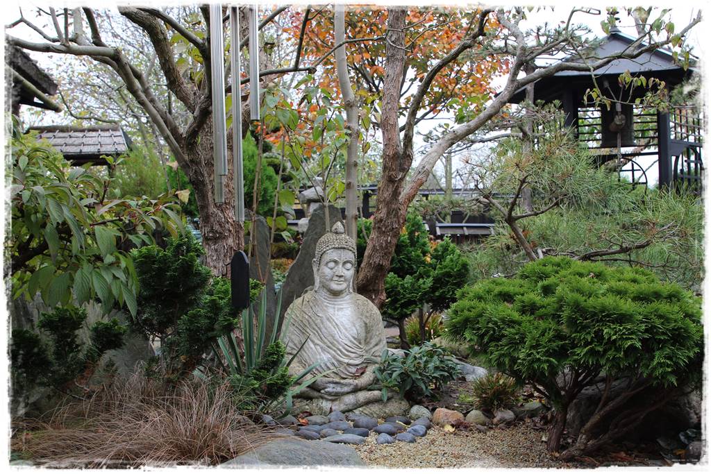 Ogród po japońsku 305 Ogród po japońsku 305