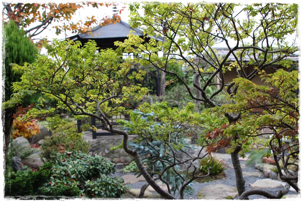 Ogród po japońsku 310 Ogród po japońsku 310