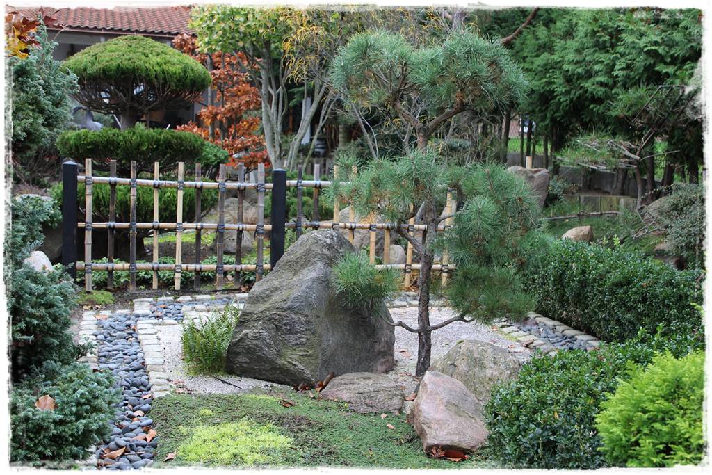 Ogród po japońsku 311 Ogród po japońsku 311