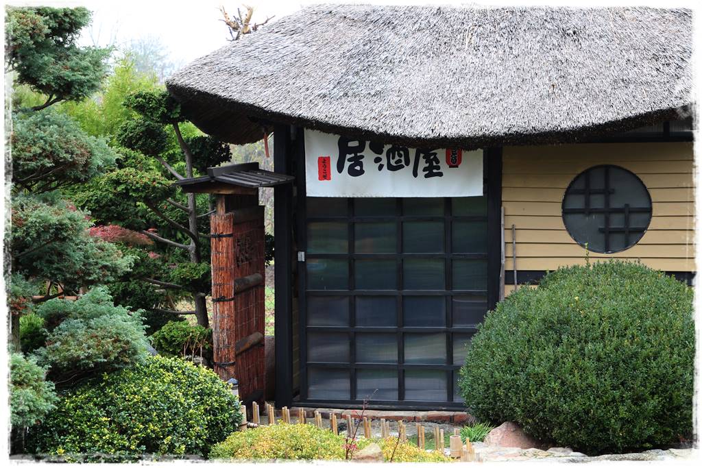 Ogród po japońsku 312 Ogród po japońsku 312