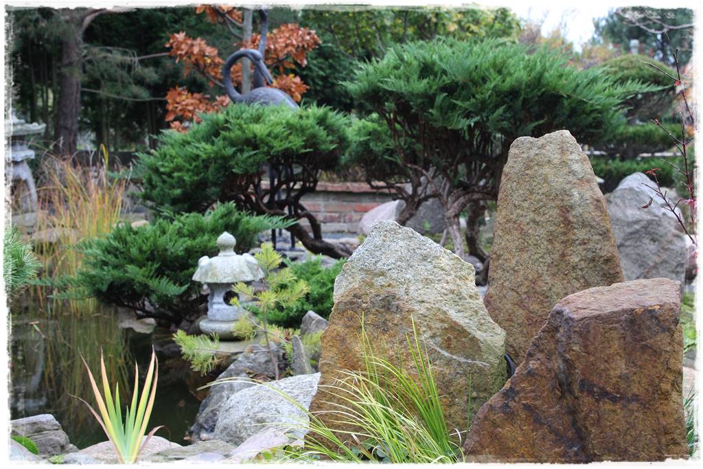 Ogród po japońsku 313 Ogród po japońsku 313