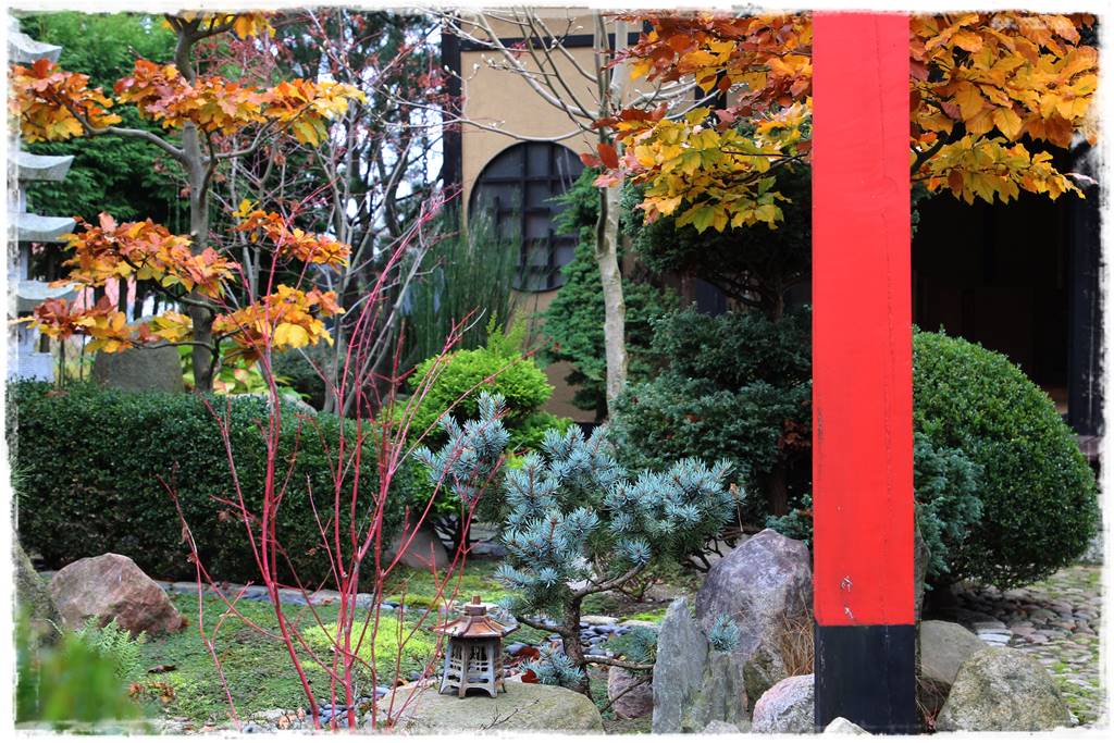 Ogród po japońsku 314 Ogród po japońsku 314