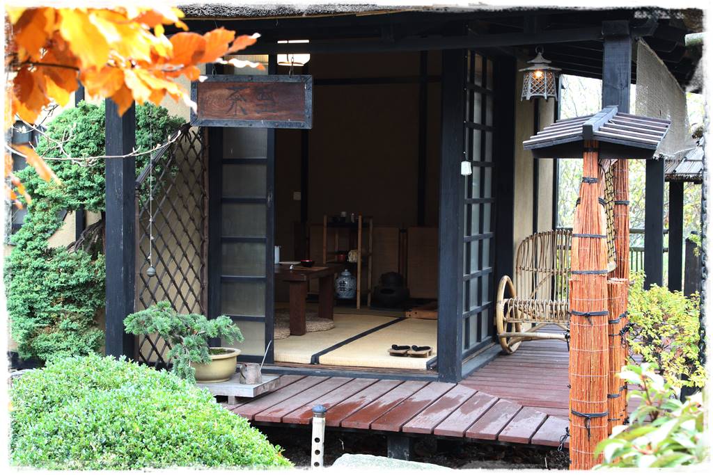 Ogród po japońsku 316 Ogród po japońsku 316