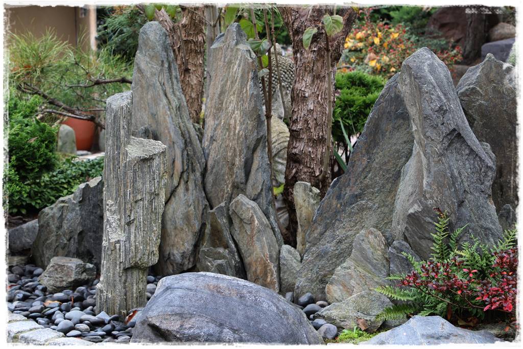 Ogród po japońsku 317 Ogród po japońsku 317