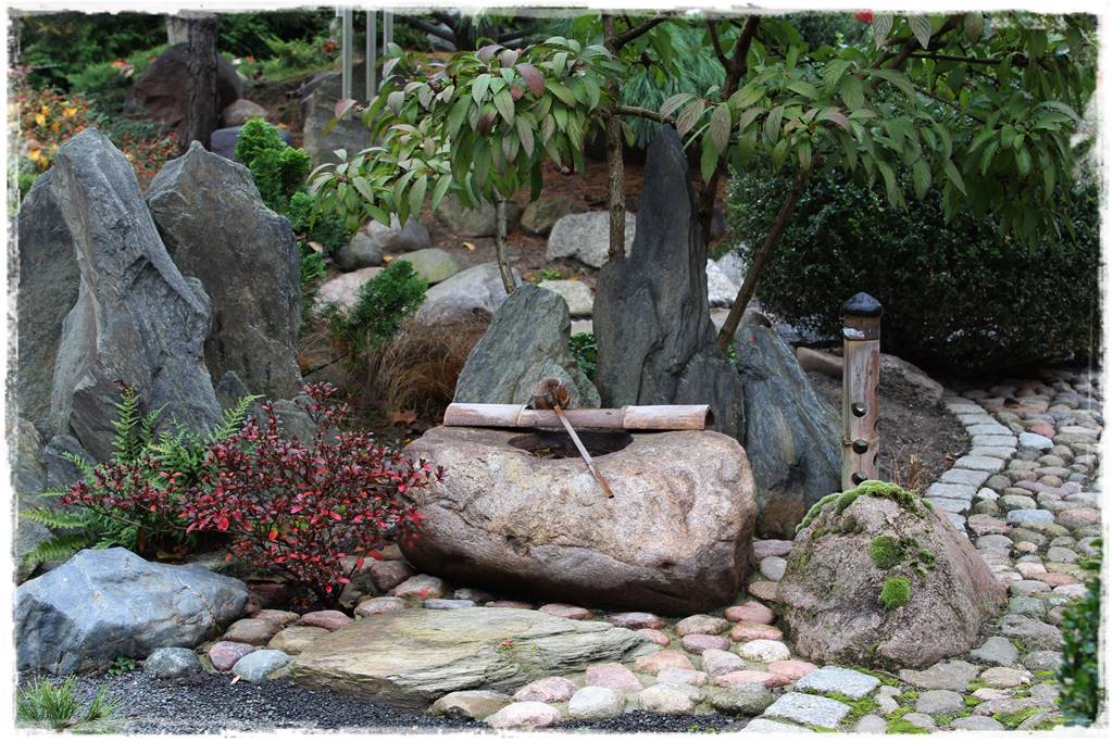 Ogród po japońsku 318 Ogród po japońsku 318