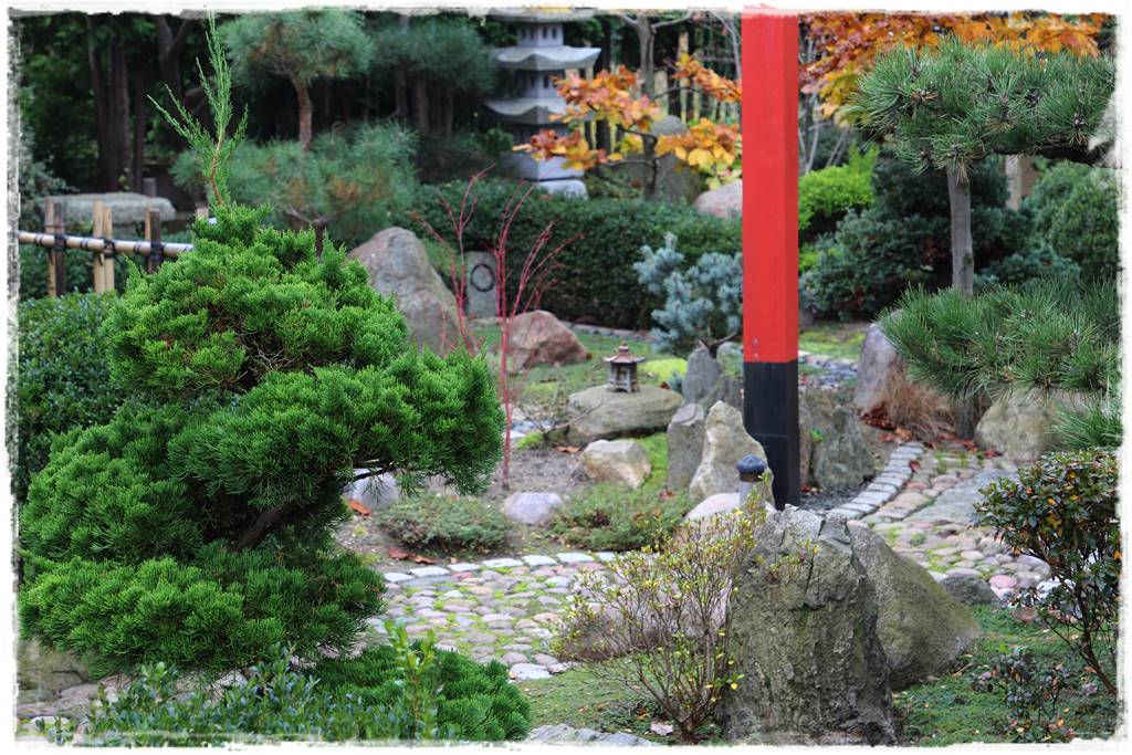 Ogród po japońsku 321 Ogród po japońsku 321