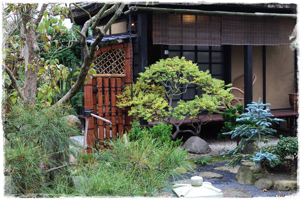 Ogród po japońsku 322 Ogród po japońsku 322
