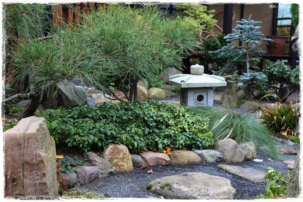 Ogród po japońsku 323 Ogród po japońsku 323