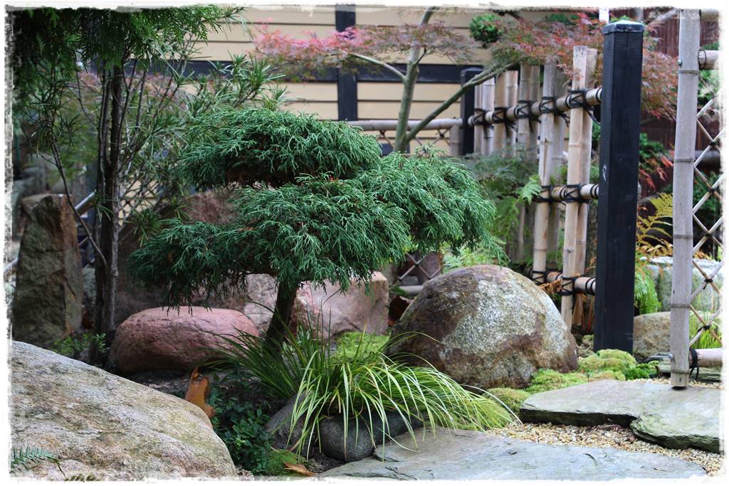 Ogród po japońsku 324 Ogród po japońsku 324