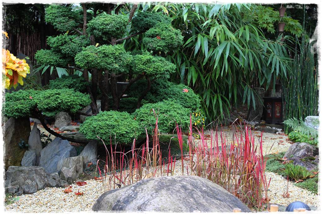 Ogród po japońsku 326 Ogród po japońsku 326