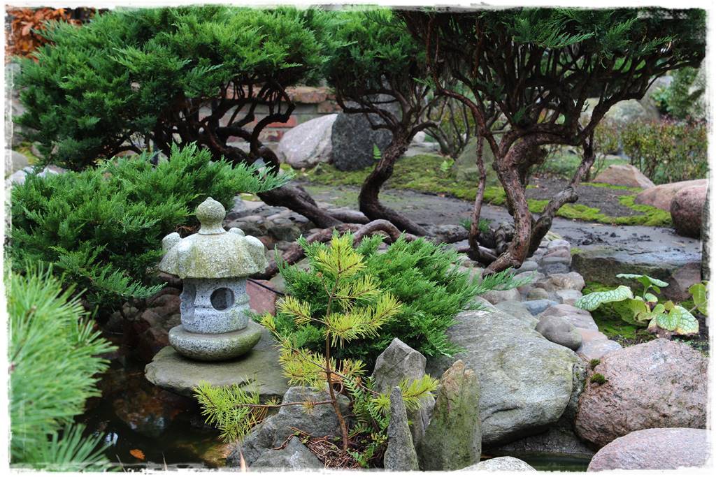 Ogród po japońsku 327 Ogród po japońsku 327
