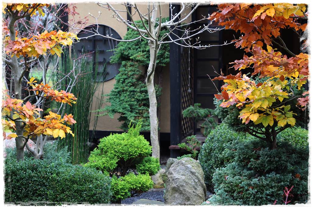 Ogród po japońsku 328 Ogród po japońsku 328