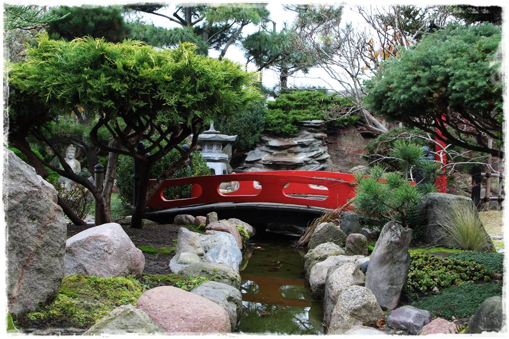 Ogród po japońsku 329 Ogród po japońsku 329