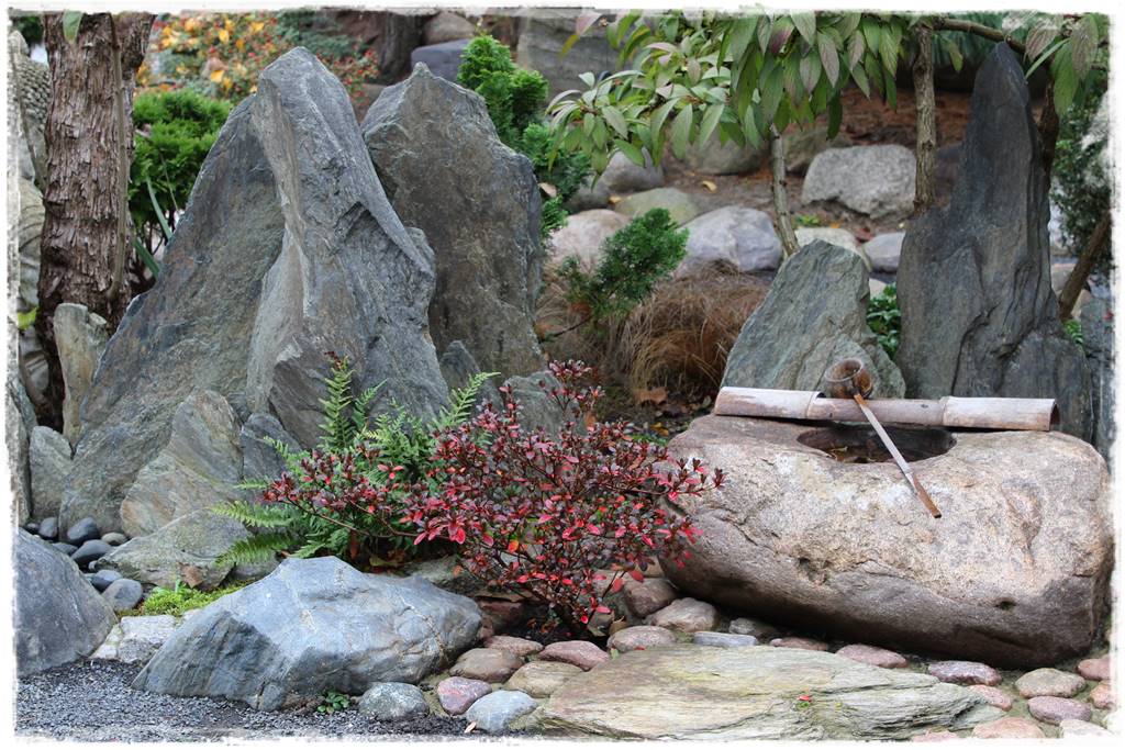 Ogród po japońsku 330 Ogród po japońsku 330