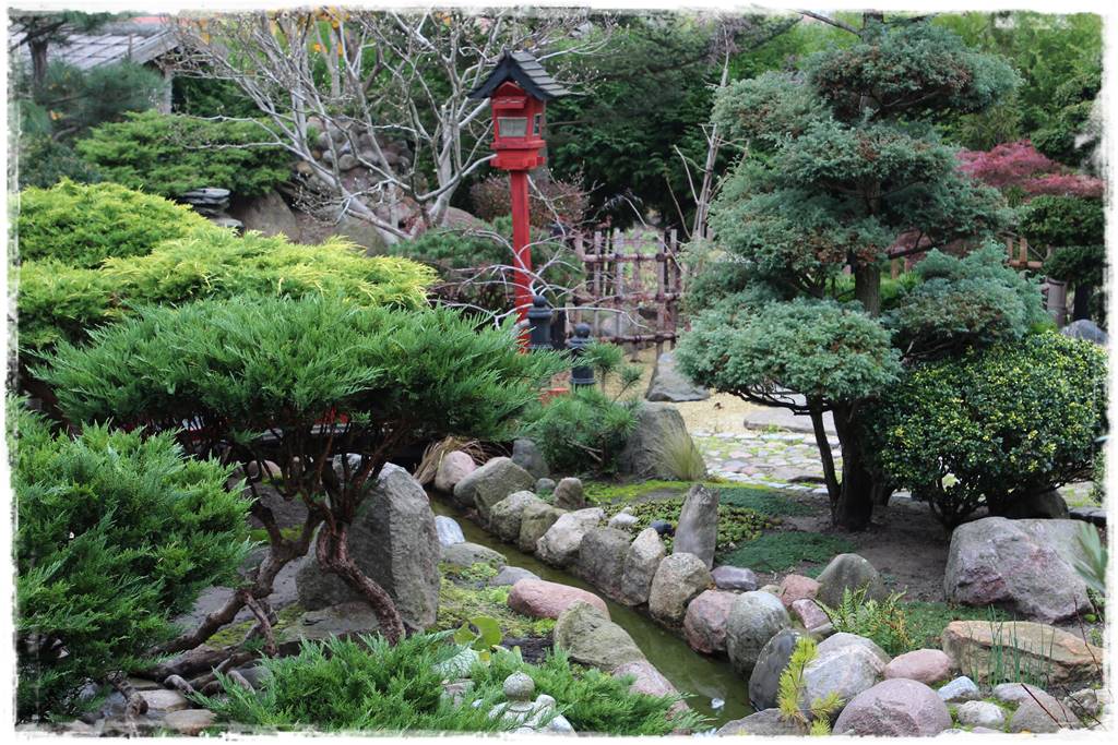 Ogród po japońsku 332 Ogród po japońsku 332