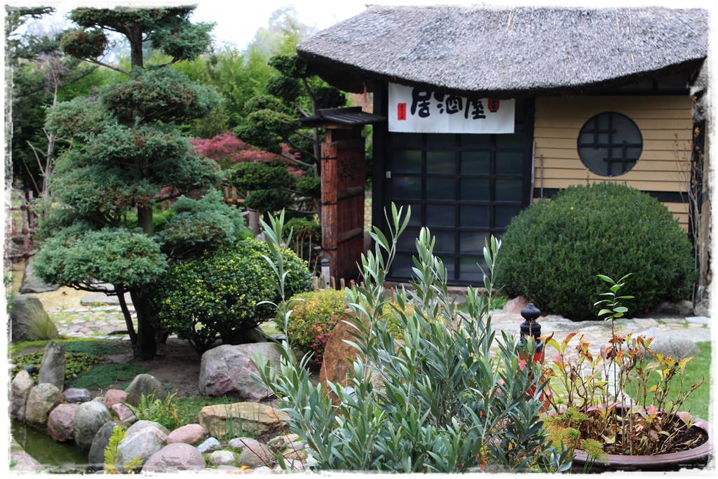 Ogród po japońsku 36 Ogród po japońsku 36