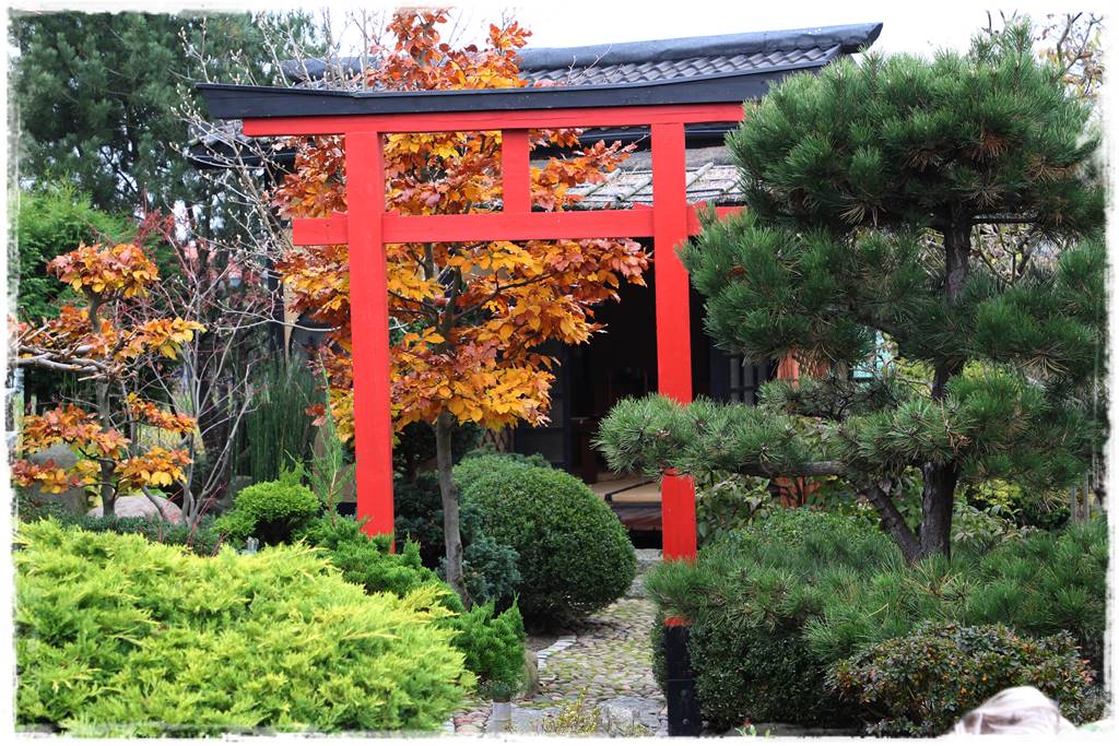 Ogród po japońsku 5 Ogród po japońsku 5