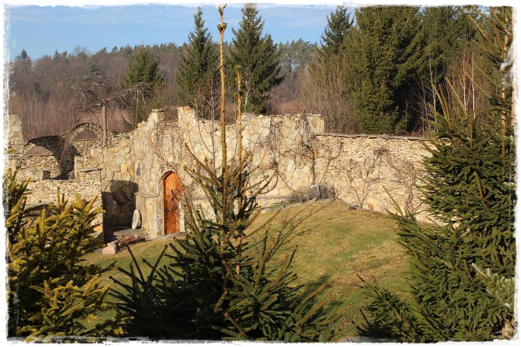 Gdzie posadzić choinkę po świętach 11 Gdzie posadzić choinkę po świętach 11