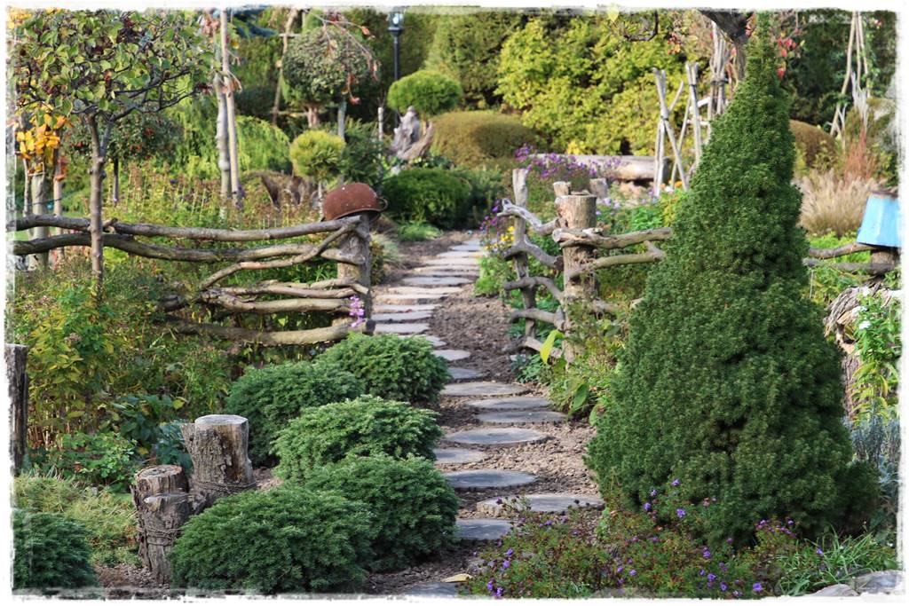 Gdzie posadzić choinkę po świętach 68 Gdzie posadzić choinkę po świętach 68