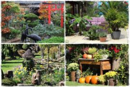 Najciekawsze ogrodowe inspiracje sezonu 0