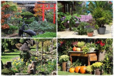 Najciekawsze ogrodowe inspiracje sezonu 0