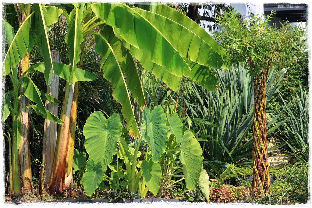 Najciekawsze ogrodowe inspiracje sezonu 12 Najciekawsze ogrodowe inspiracje sezonu 12