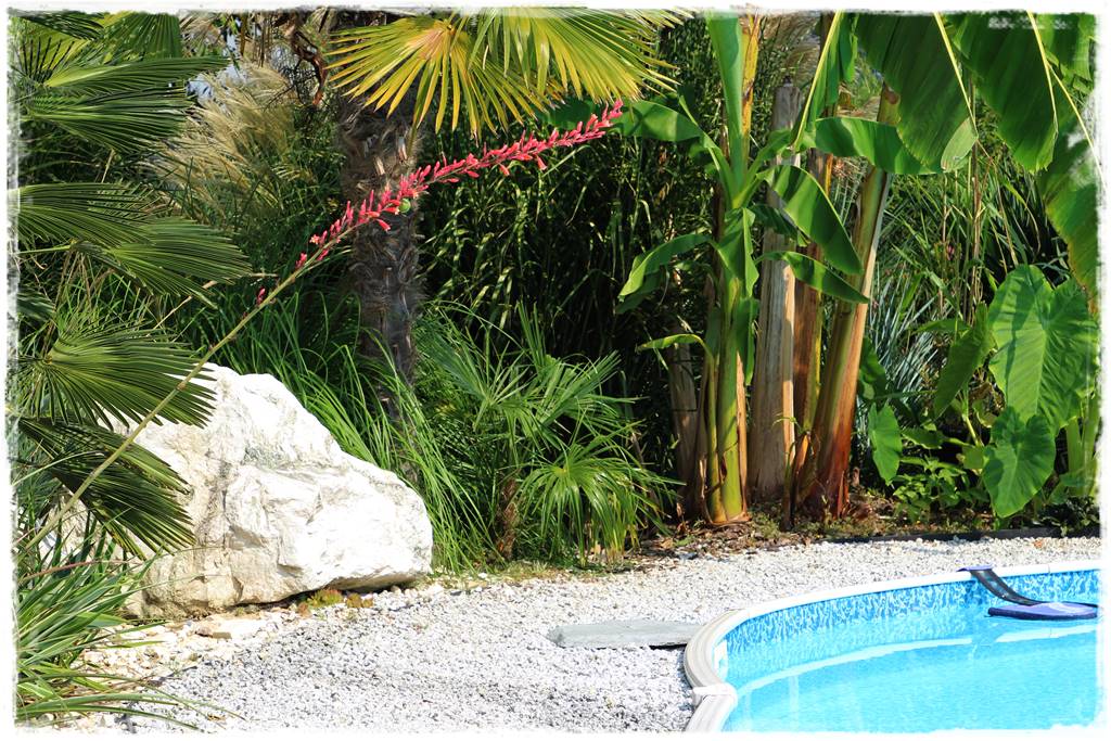 Najciekawsze ogrodowe inspiracje sezonu 13 Najciekawsze ogrodowe inspiracje sezonu 13