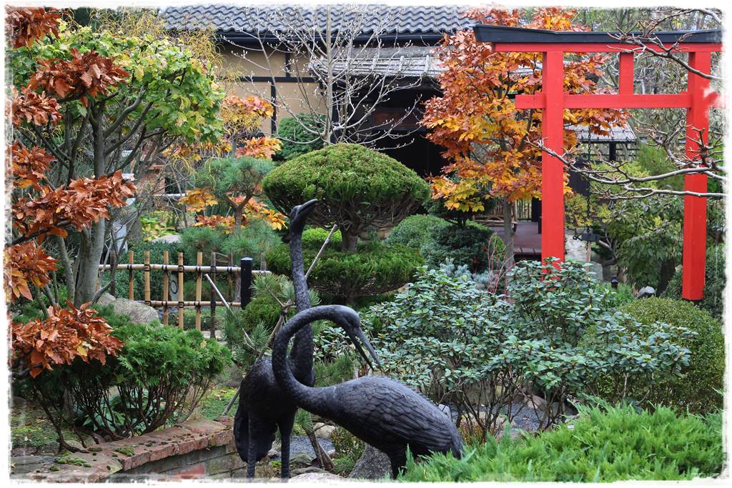 Najciekawsze ogrodowe inspiracje sezonu 18 Najciekawsze ogrodowe inspiracje sezonu 18