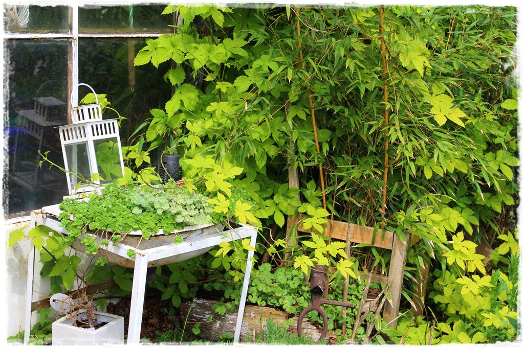 Najciekawsze ogrodowe inspiracje sezonu 23 Najciekawsze ogrodowe inspiracje sezonu 23