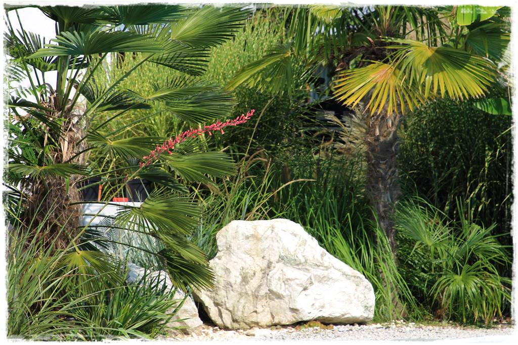 Najciekawsze ogrodowe inspiracje sezonu 24 Najciekawsze ogrodowe inspiracje sezonu 24