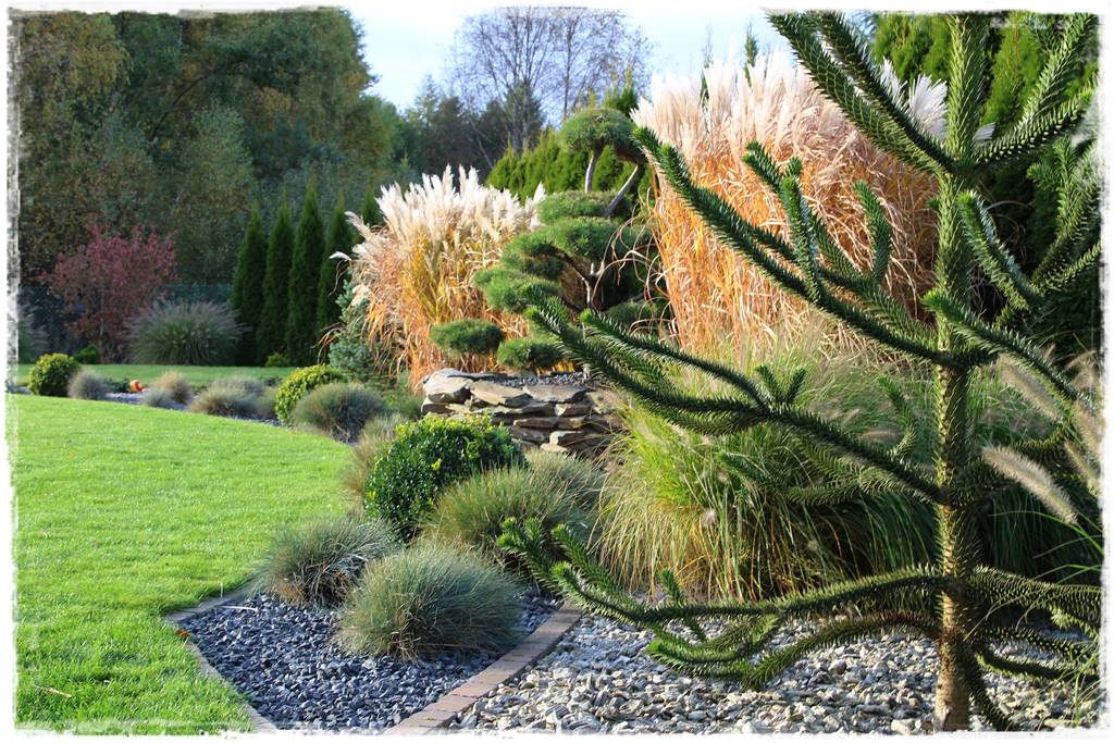 Najciekawsze ogrodowe inspiracje sezonu 25 Najciekawsze ogrodowe inspiracje sezonu 25