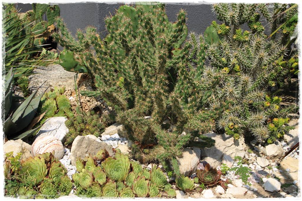 Najciekawsze ogrodowe inspiracje sezonu 26 Najciekawsze ogrodowe inspiracje sezonu 26