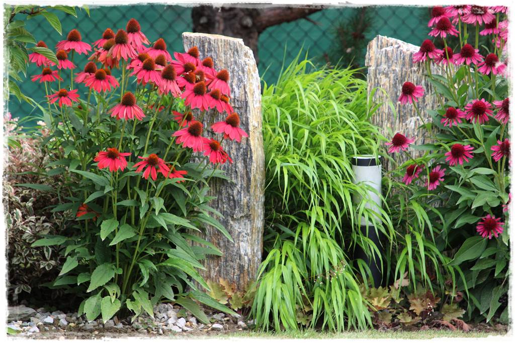 Najciekawsze ogrodowe inspiracje sezonu 31 Najciekawsze ogrodowe inspiracje sezonu 31