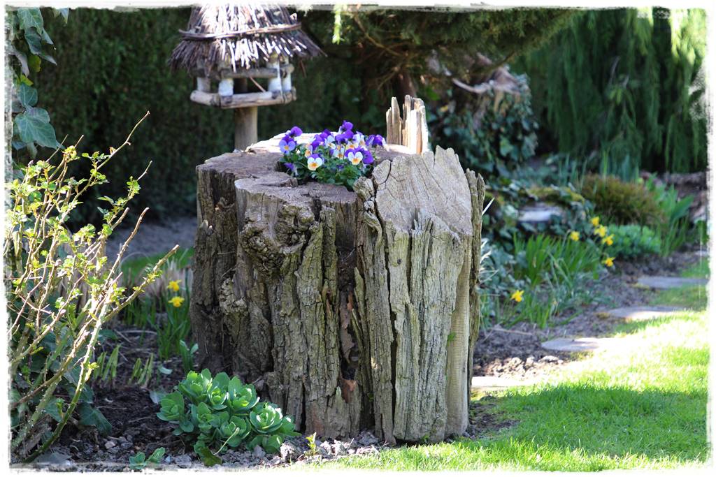 Najciekawsze ogrodowe inspiracje sezonu 34 Najciekawsze ogrodowe inspiracje sezonu 34