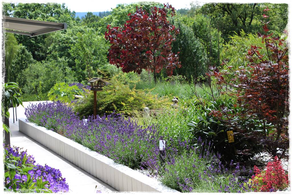 Najciekawsze ogrodowe inspiracje sezonu 4 Najciekawsze ogrodowe inspiracje sezonu 4