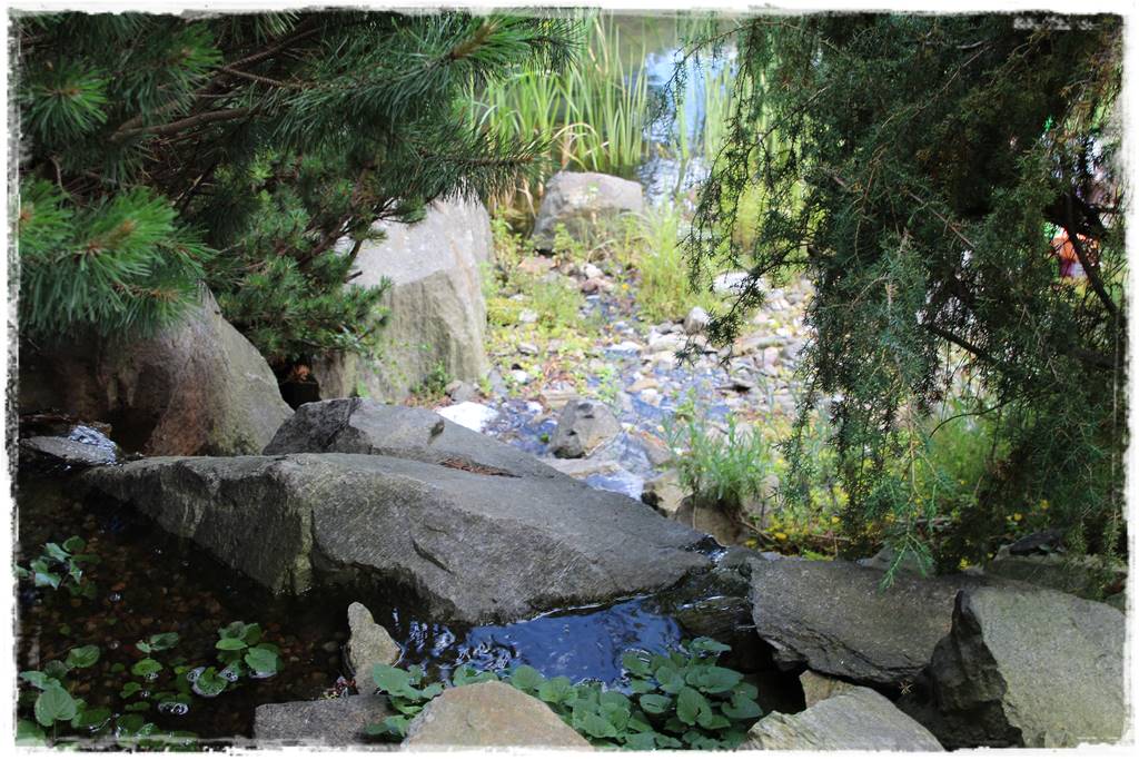 Najciekawsze ogrodowe inspiracje sezonu 41 Najciekawsze ogrodowe inspiracje sezonu 41