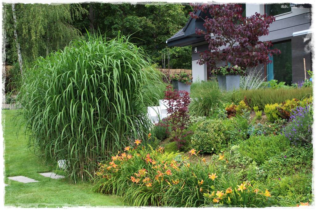 Najciekawsze ogrodowe inspiracje sezonu 44 Najciekawsze ogrodowe inspiracje sezonu 44