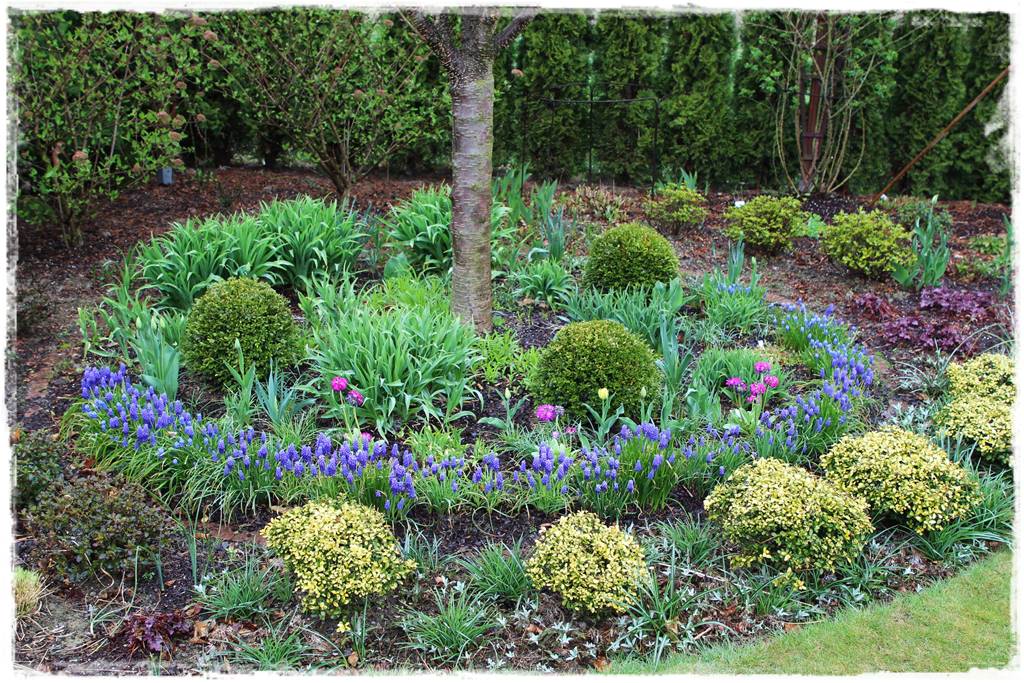 Najciekawsze ogrodowe inspiracje sezonu 5 Najciekawsze ogrodowe inspiracje sezonu 5