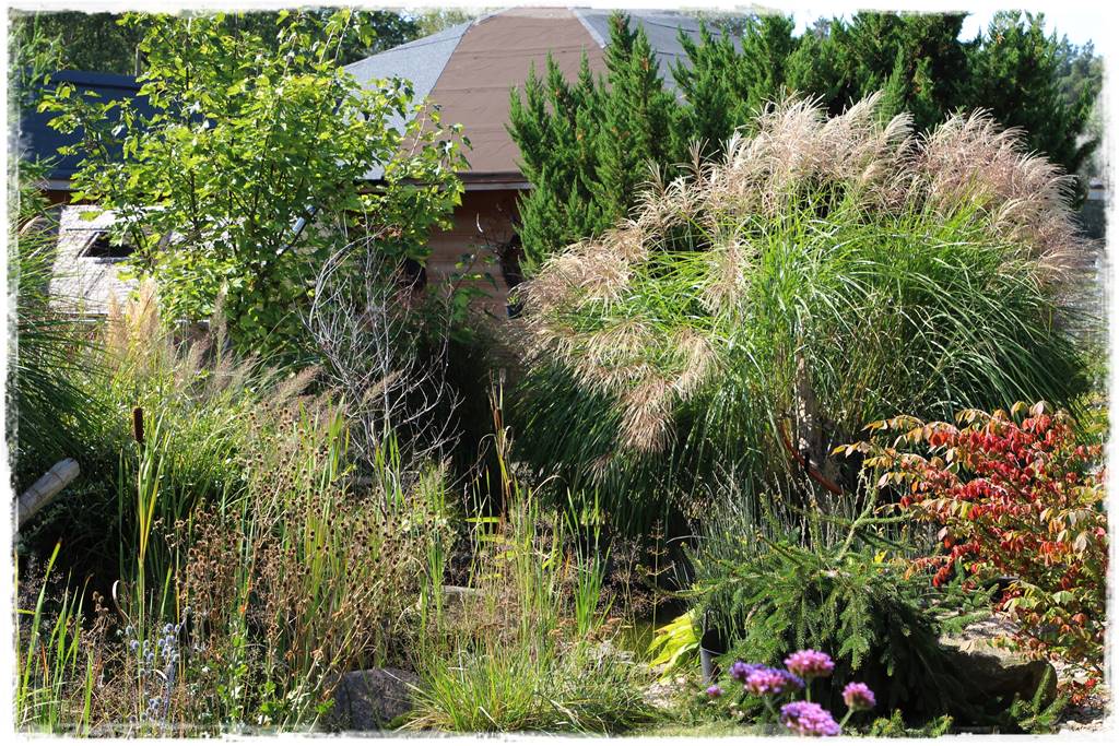 Najciekawsze ogrodowe inspiracje sezonu 53 Najciekawsze ogrodowe inspiracje sezonu 53