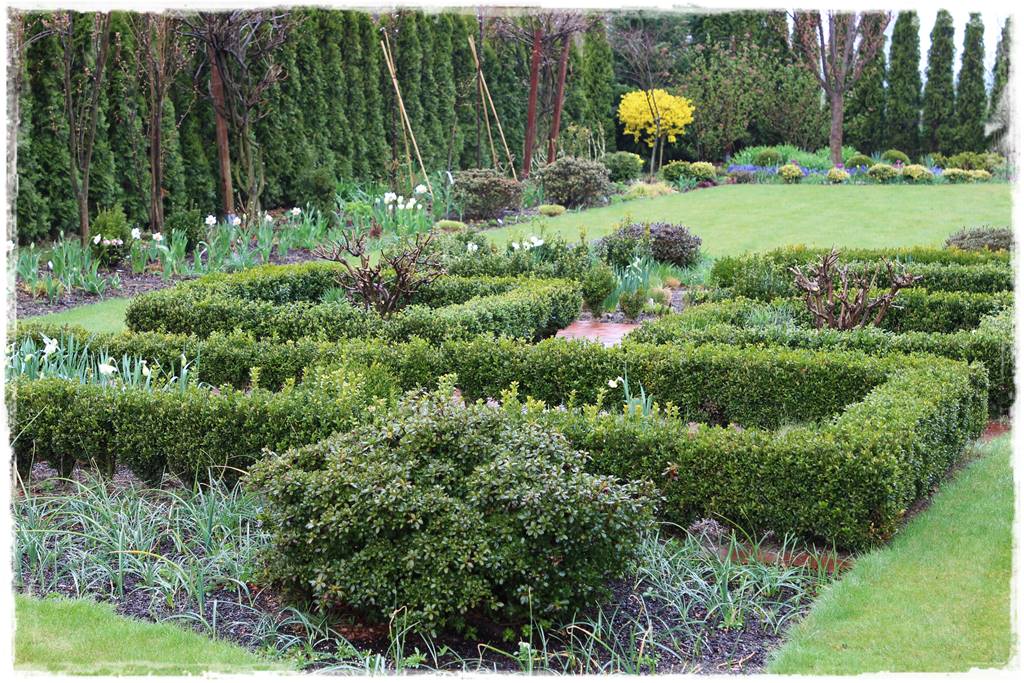 Najciekawsze ogrodowe inspiracje sezonu 6 Najciekawsze ogrodowe inspiracje sezonu 6