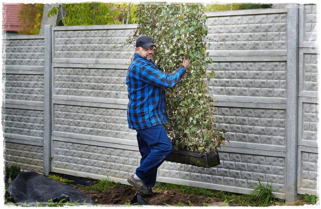 Najciekawsze ogrodowe inspiracje sezonu 65 Najciekawsze ogrodowe inspiracje sezonu 65