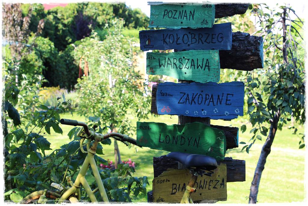 Najciekawsze ogrodowe inspiracje sezonu 80 Najciekawsze ogrodowe inspiracje sezonu 80