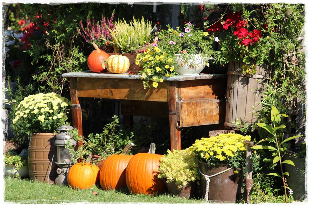 Najciekawsze ogrodowe inspiracje sezonu 81 Najciekawsze ogrodowe inspiracje sezonu 81