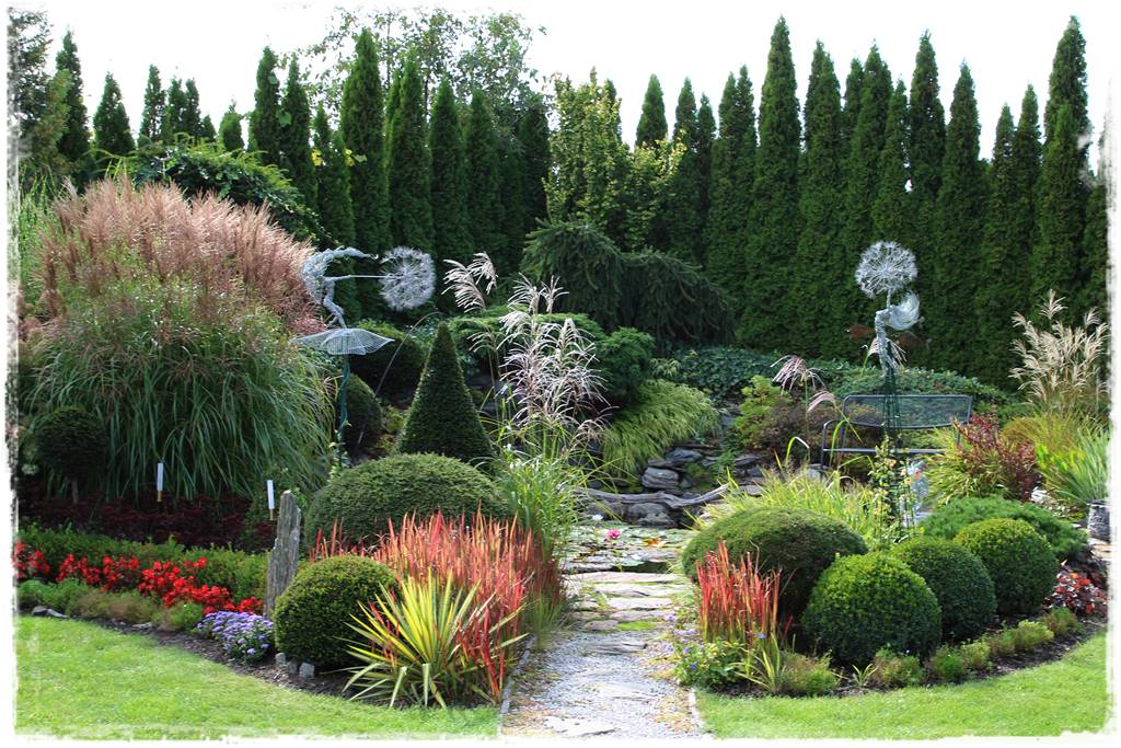 Rośliny do oczka wodnego 74